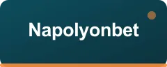 Napolyonbet logo